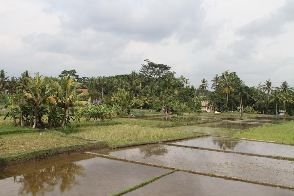 Villa Kami Ubud Exteriör bild