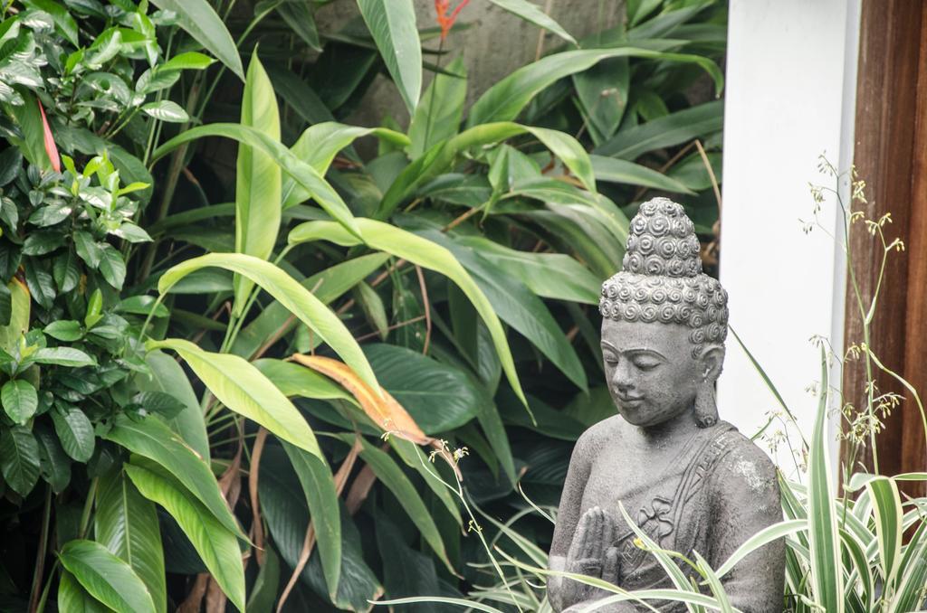 Villa Kami Ubud Exteriör bild