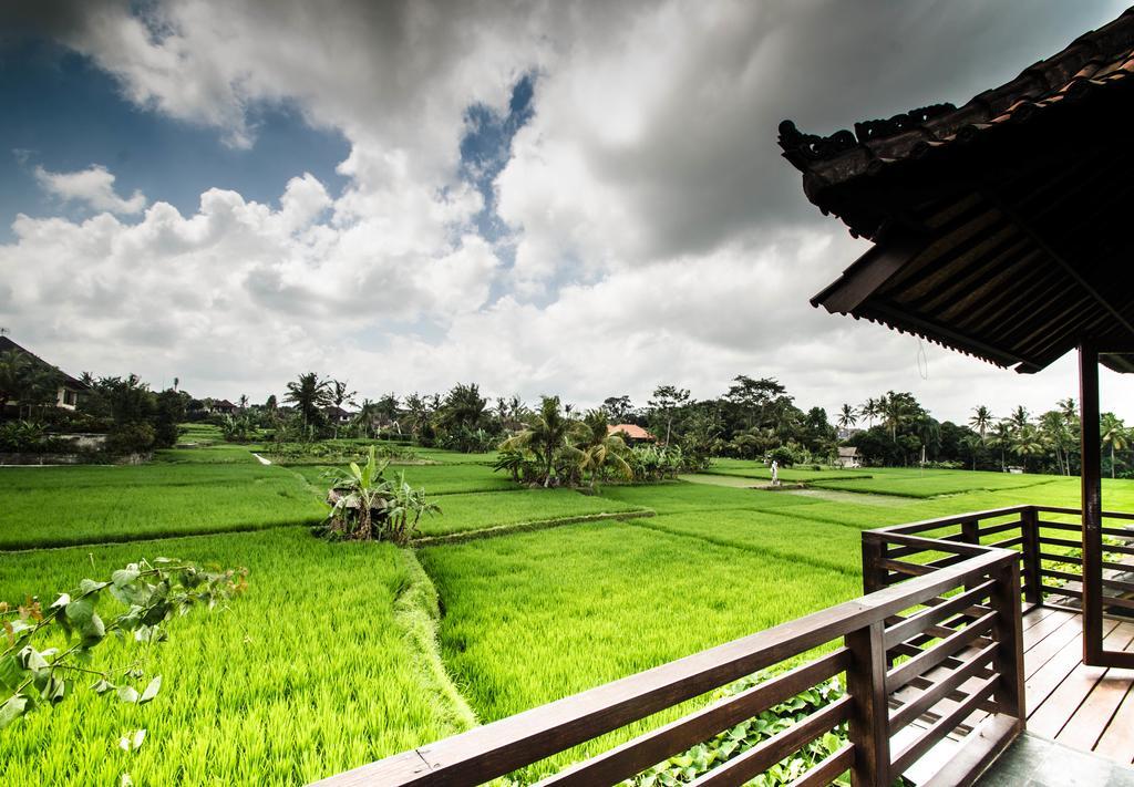 Villa Kami Ubud Exteriör bild